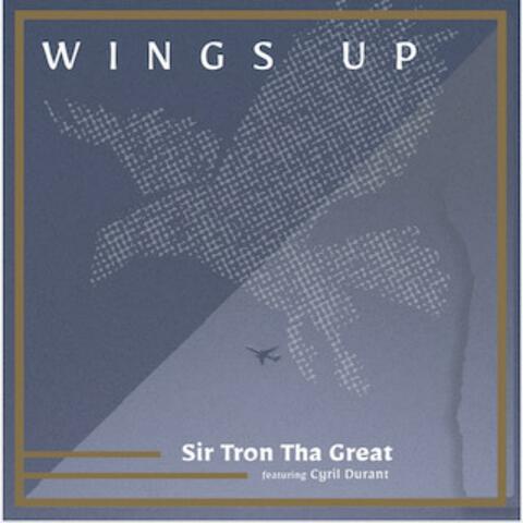 Wings Up (feat. Cyril Durant)