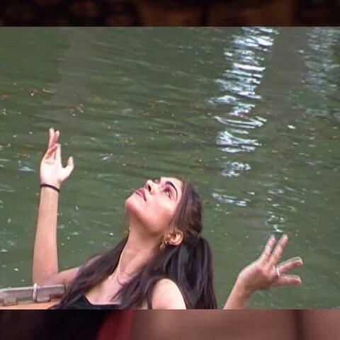 Amazonia