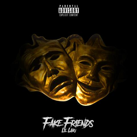 Fake Friends