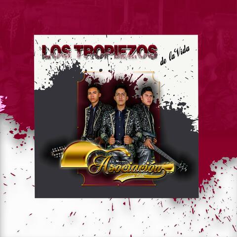 Los Tropiezos de la Vida