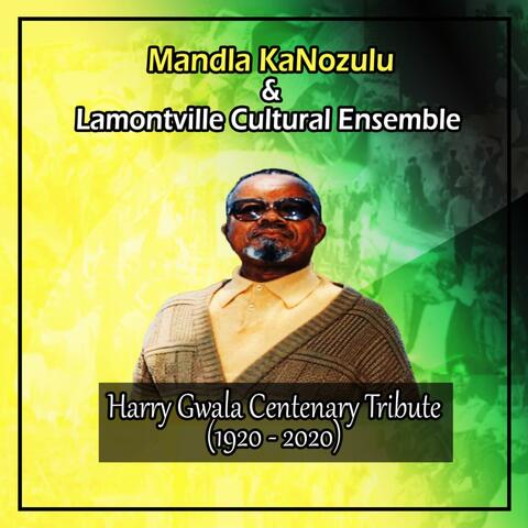 Harry Gwala Centenary Tribute (1920-2020)