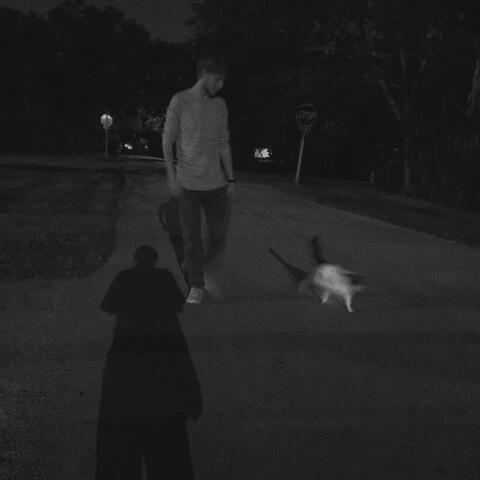 for the walk home