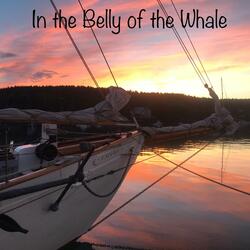 In the Belly of the Whale