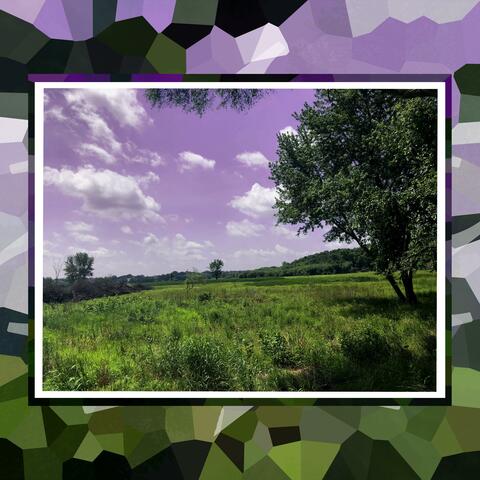 the summer (feat. AkZeNT)