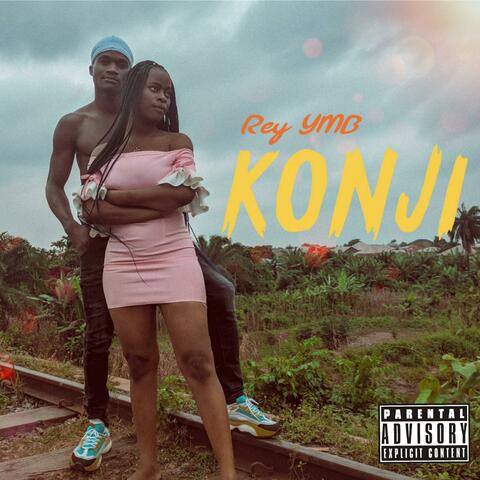 Konji