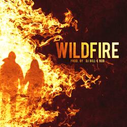 Wildfire