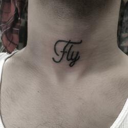 Fly