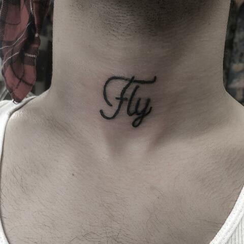 Fly