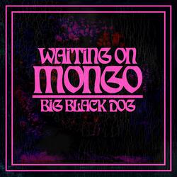 Big Black Dog