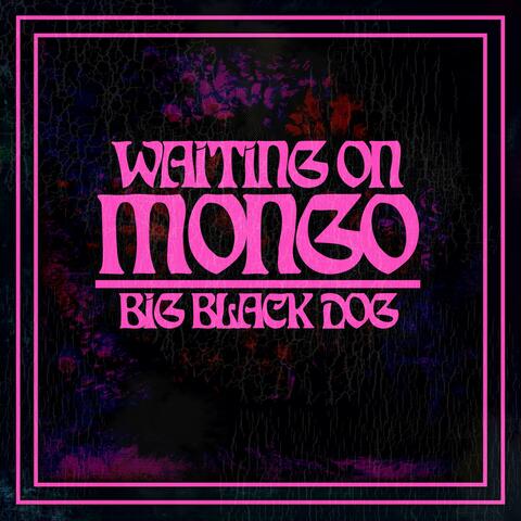 Big Black Dog