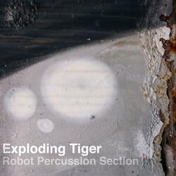 Robot Percussion Section