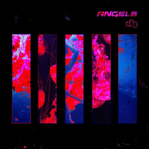 Angels