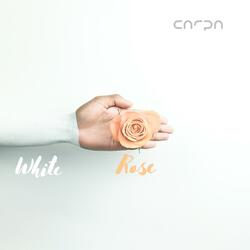 White Rose