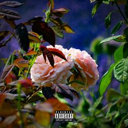 Hallucinogenic (feat. Kobz & Moet)