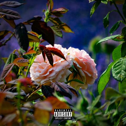 Hallucinogenic (feat. Kobz & Moet)