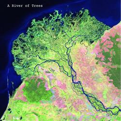 River of Trees