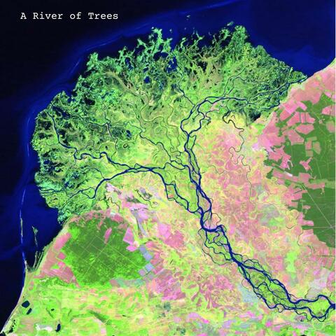 River of Trees