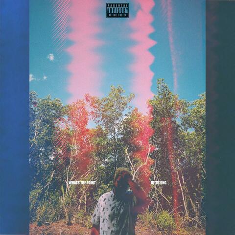 What's the Point (Of Trying)