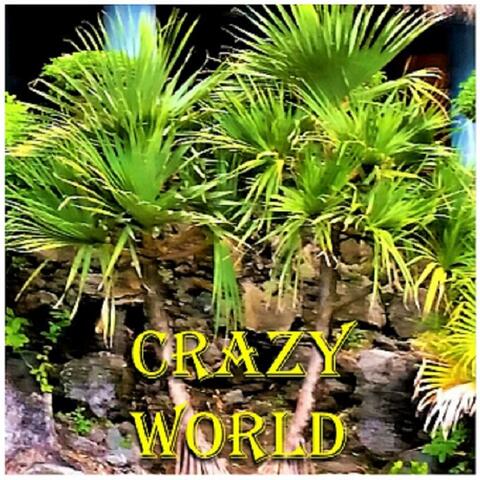 Crazy World
