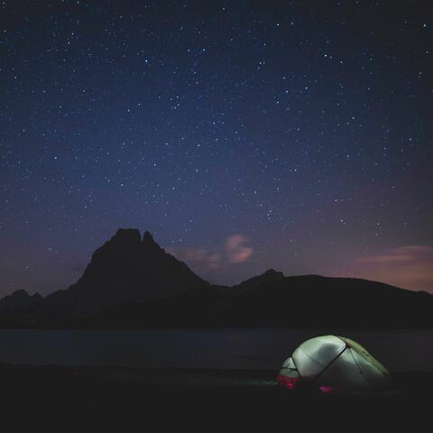 Moonlight