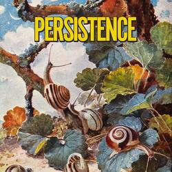 Persistence