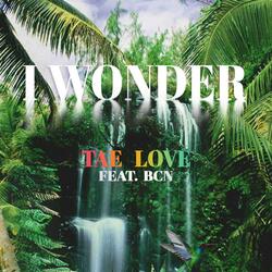I Wonder (feat. BCN)