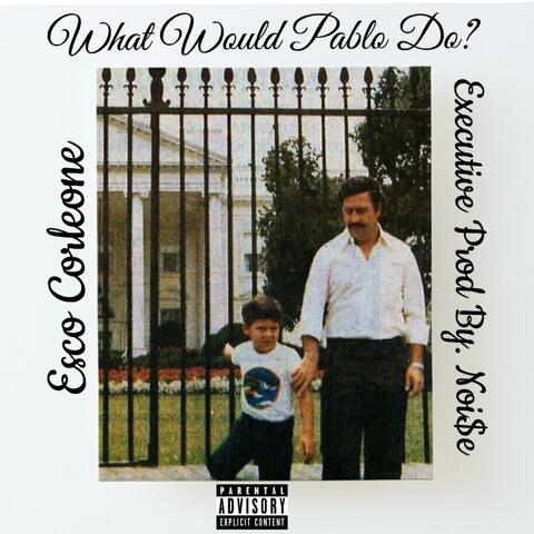 What Would Pablo Do?