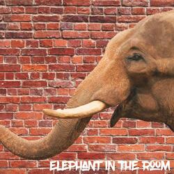 Elephant in the Room