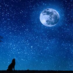 All for Love or for Money