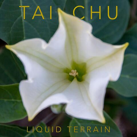 Tai Chu