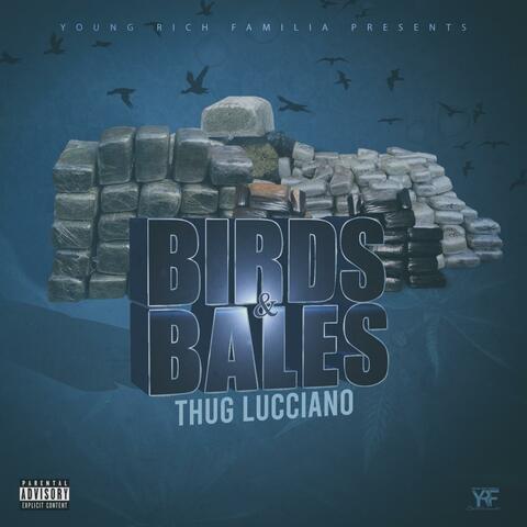 Birds & Bales