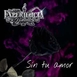 Sin Tu Amor