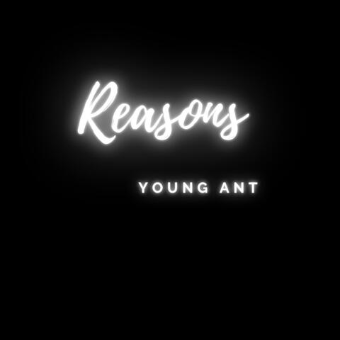 Reasons
