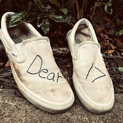 Dear 17