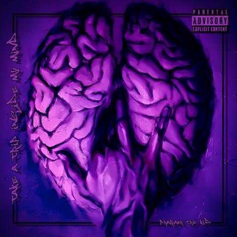 Take a Trip Inside My Mind