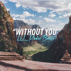 Without You