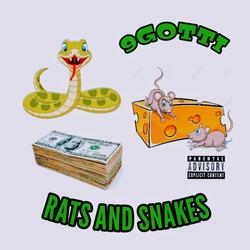 Rats and Snakes