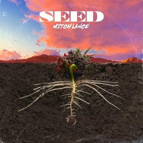 Seed