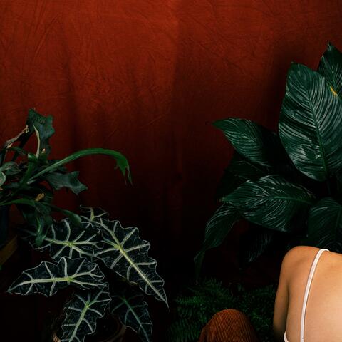 Kintsugi Body