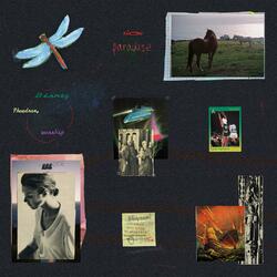 Honky Tonk in HI (feat. Radiant Phaedrus)