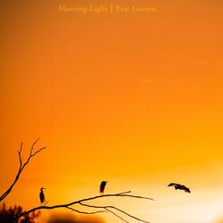 Morning Light