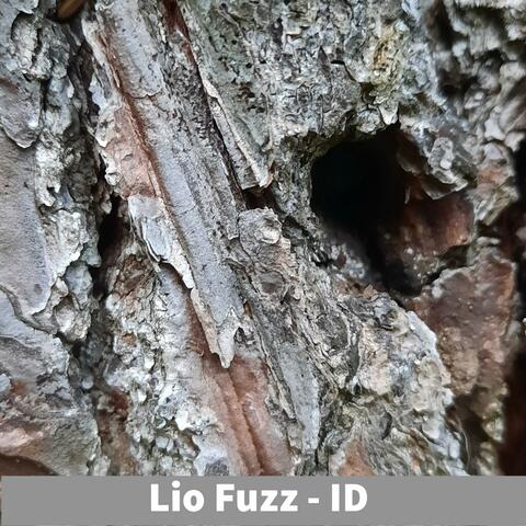 Id