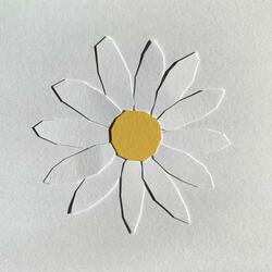 Daisies on a Rock