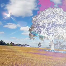 This Should Be My Sanctuary (feat. Yamala)