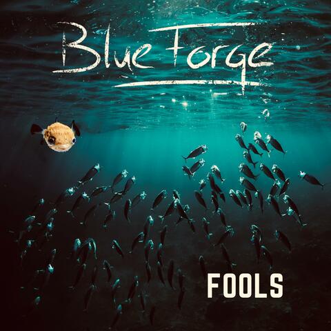 Fools