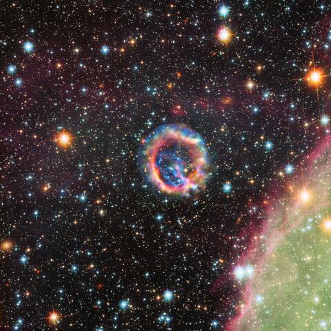 Birth of a Young Star