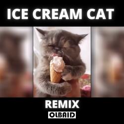 Ice Cream Cat