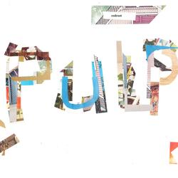 Pulp