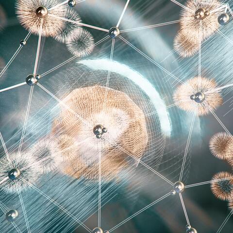 Quantum Print