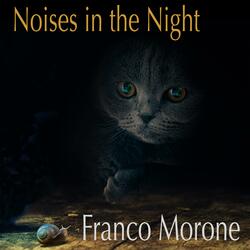 Noises in the Night